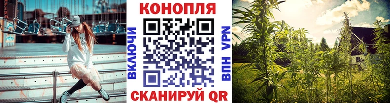 Купить где  Серпухов  Канабис Amnesia 